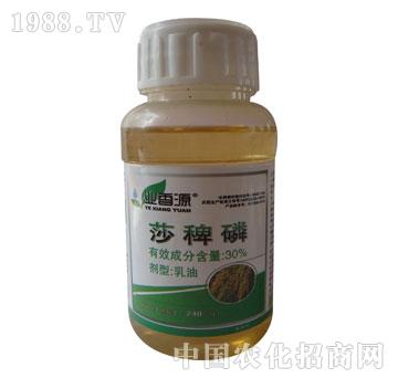 �L�p-�I(y��)��Դ-ɯ����