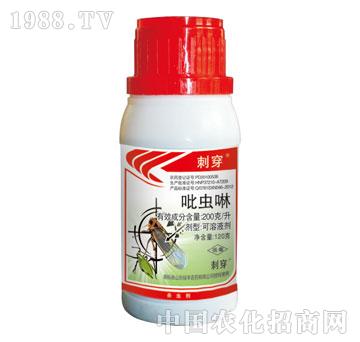 �G�S-�̴�-���x��