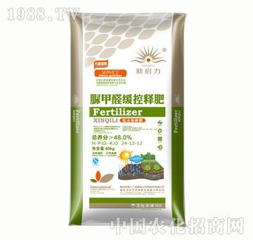 �������ȩ����ጷ�24-12-12