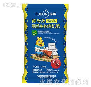 ���o�����ЙC��-����w����-����