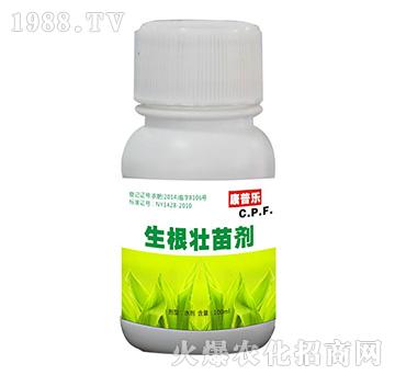 �������焩-�r�_����