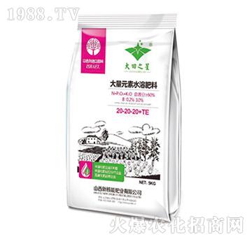 ����Ԫ��ˮ�ܷ�20-20-20+TE��С���b��-����֮��-�º���