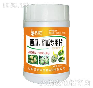 ��������ό���Ƭ��һ��һƬ��-�����S