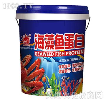 �����~���ף��{(l��n)��-�P�L(zh��ng)��