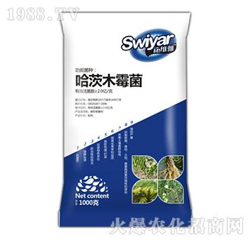 ����ľù��-������