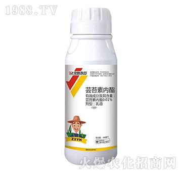 �|̦�؃���-�����Ѻ�