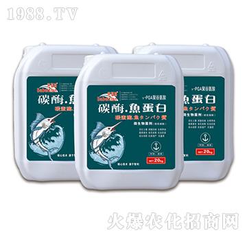 ̼ø���~����-������-�vɭ�ʘI(y��)