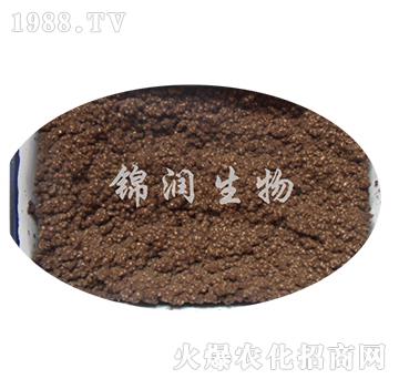 ����ù�P(p��n)����-�\��(r��n)����