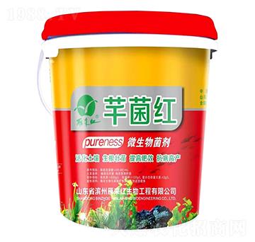 ΢�������-ܷ���t-���(l��i)�t