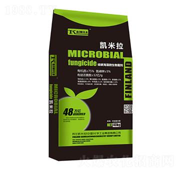 ����΢�������-�P����