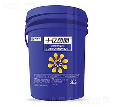 ΢�������-ʮ�|���F-�����Ƽ�