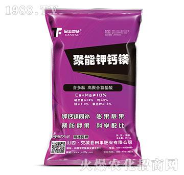 ������}�V-���S����