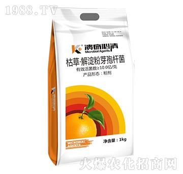 �ݲݡ������ѿ�ߗU��-��������-�T�_