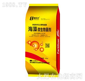 ����΢�������-嫘���