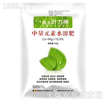 ����Ԫ��ˮ�ܷ�-ʩ����