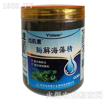 ø�⺣�徫-���C(j��)��-� �����