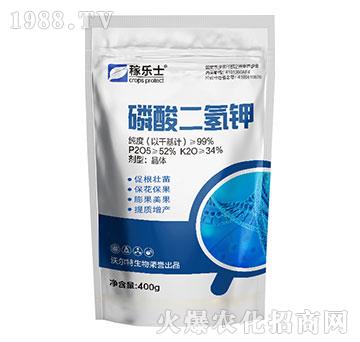 ��������-�ژ�(l��)ʿ