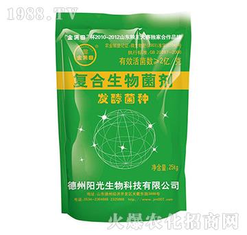 �ͺ��������-�l(f��)�;��N-ꖹ�����