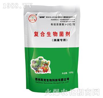 �ι�����-��M���(f��)���������-ꖹ�����