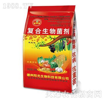 ��M���(f��)������������t��-ꖹ�����