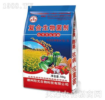 ��(f��)���������-��M��{(l��n)��-ꖹ�����