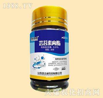 �|̦�؃���-��ʿ��