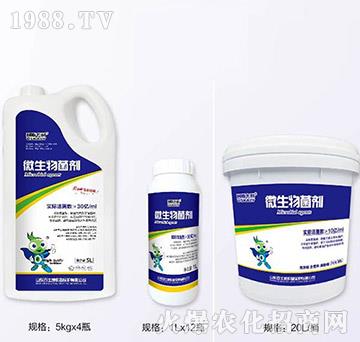 ΢�������-��˹����-��ʿ��