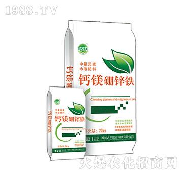 �}�V���\�F-�@���S-���S�ʘI(y��)