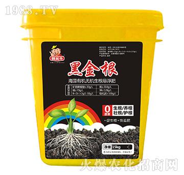 �����ЙC�o�C�����Ҹ���-�ڽ��-�f��