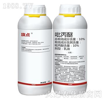 10%������-���c-��֮��