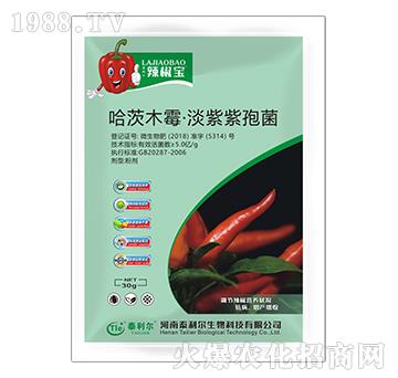 ����ľù���������߾���-������-̩����