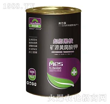 1000g�VԴ�S�����-���ܺں�-����ɭ