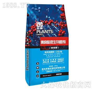 �S����΢�������-���P����