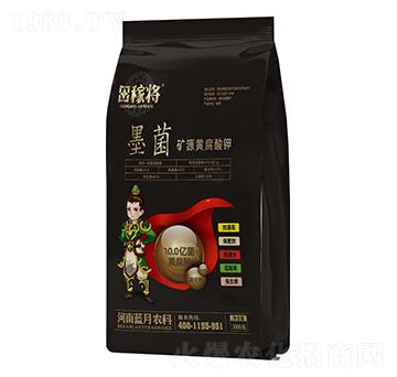 �VԴ�S�����-ī��-��ڌ�-�{(l��n)���r(n��ng)��