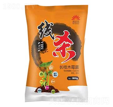 �L(zh��ng)֦ľù��-����-�֠���(l��)