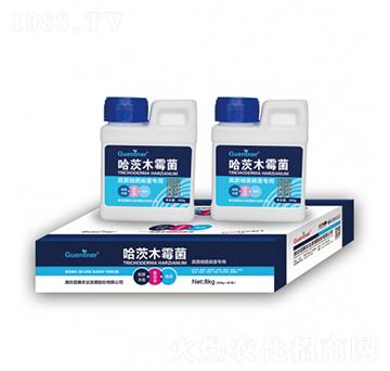 �����(x��)��������(zhu��n)�ù���ľù��-���v�r(n��ng)�I(y��)