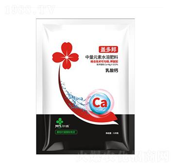 ����Ԫ��ˮ�ܷ�-�w���-�~ʢ����