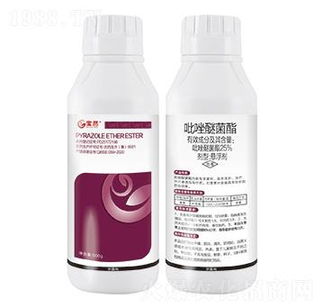 25%�����Ѿ���-��Ȼ����