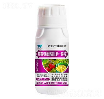 ��ݮ������������ɫһ���`-�֠���(y��u)