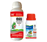 ������-�׺�-������