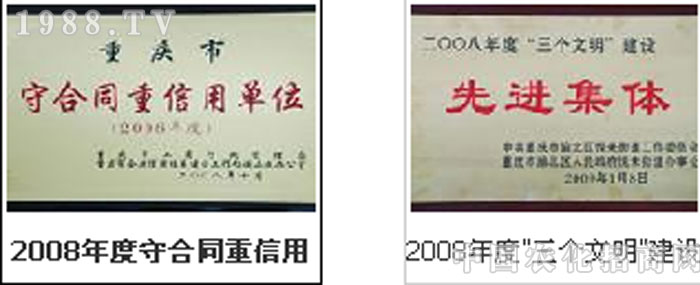 �ؑc�����������޹�˾