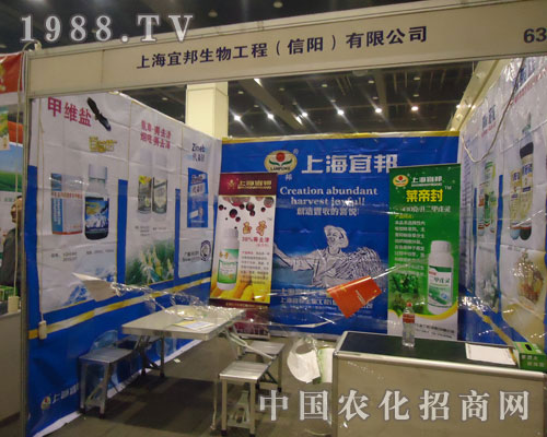 葉帝封、玉哥齊比拼