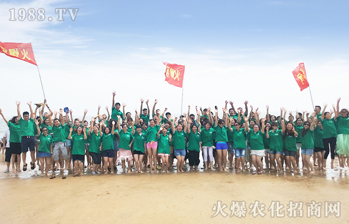 ���ܴ������w������