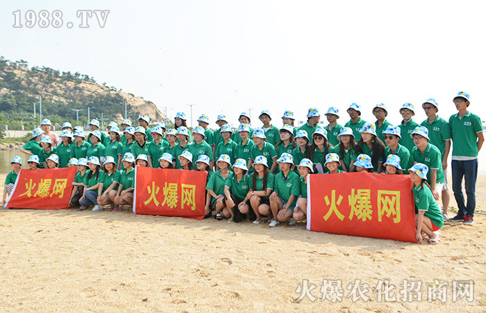 �q�����ϣ����q����