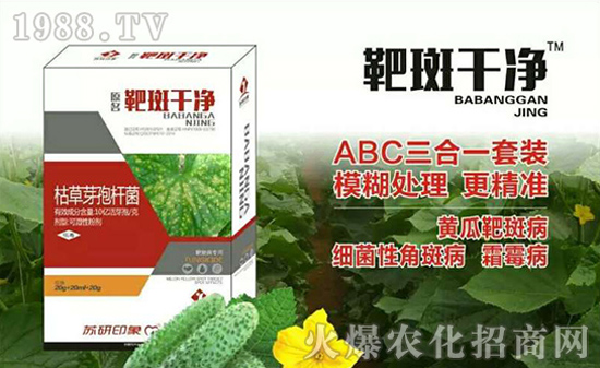 ���K��ӡ��ף���2017�������³�������������H�Қg����