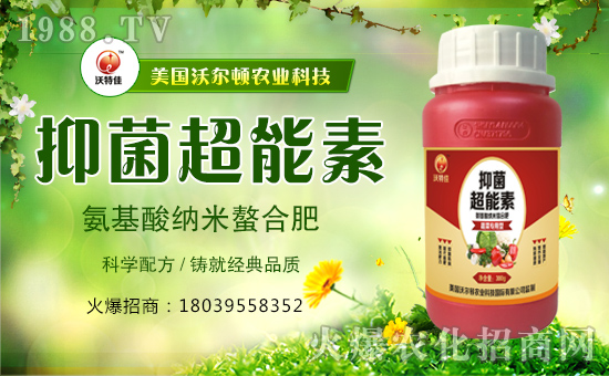 �������֠��D����ף�������옷���f�����⣡