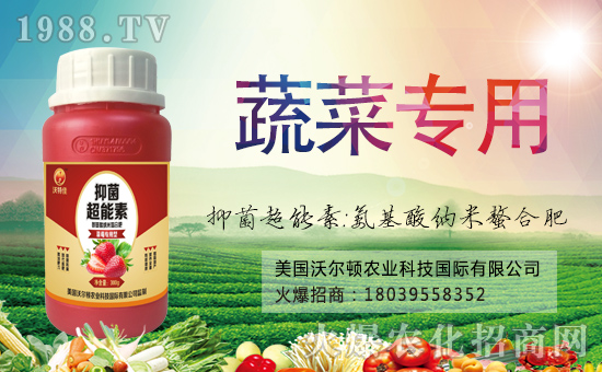 �������֠��D����ף�������옷���f��������