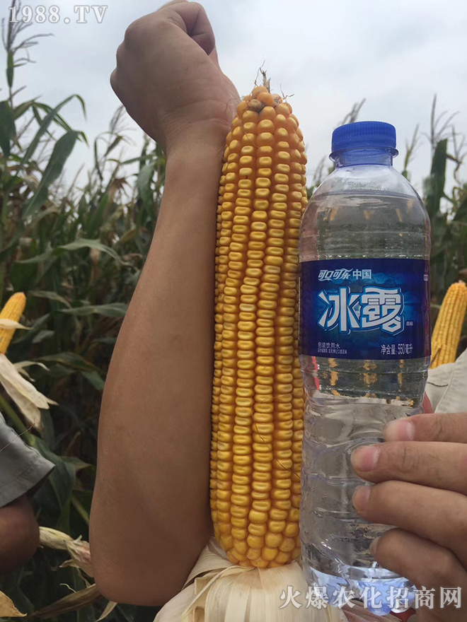 ���(y��ng)��ʢ�ʘI(y��)�Ƽ����޹�˾5