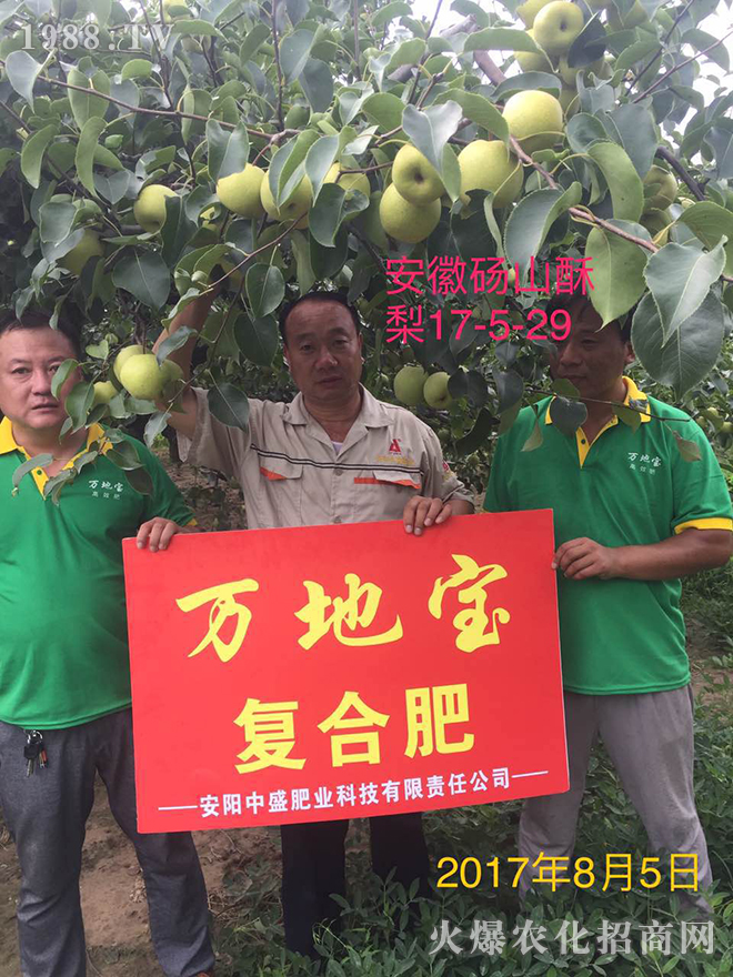 ���(y��ng)��ʢ�ʘI(y��)�Ƽ����޹�˾9