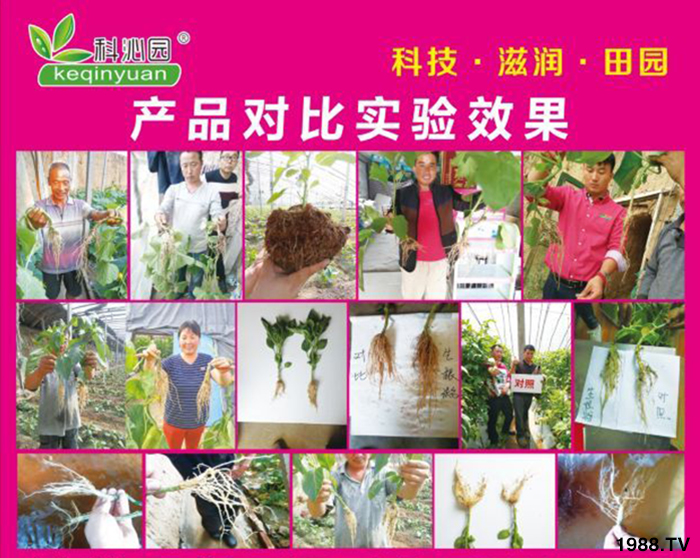 �۹��п��߈@�������޹�˾